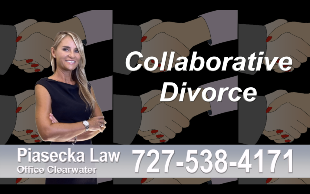 North Redington Beach Collaborative, Divorce, Attorney, Agnieszka, Piasecka, Prawnik, Rozwodowy, Rozwód, Adwokat, Najlepszy Best