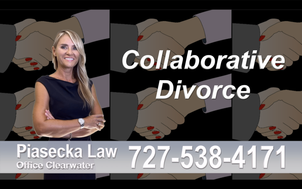 Brooksville Collaborative, Divorce, Attorney, Agnieszka, Piasecka, Prawnik, Rozwodowy, Rozwód, Adwokat, Najlepszy, Best, divorce, attorney